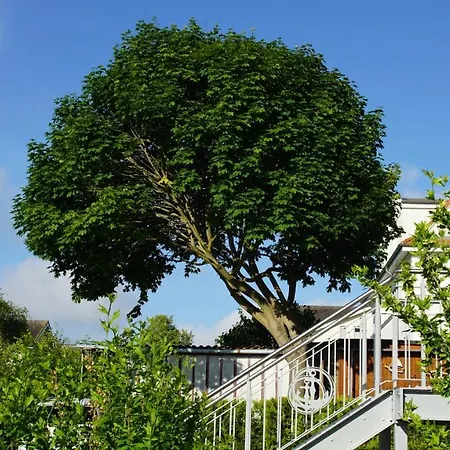 Rosalie Apartament